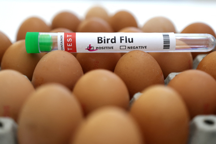 Sanofi, GSK, CSL Tapped to Expand US Bird Flu Vaccine Supply