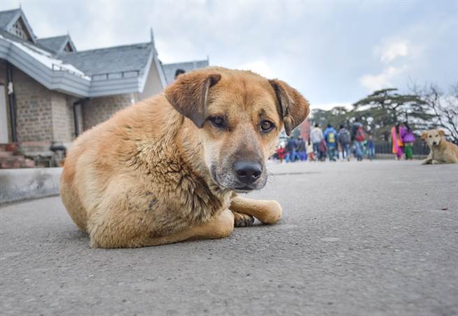 Why is the Sense of Despair Among Chinese Youth So Widespread