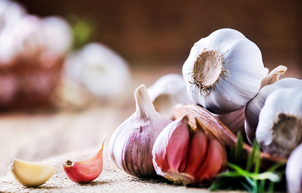 Is Chinese Garlic a Threat to the United States