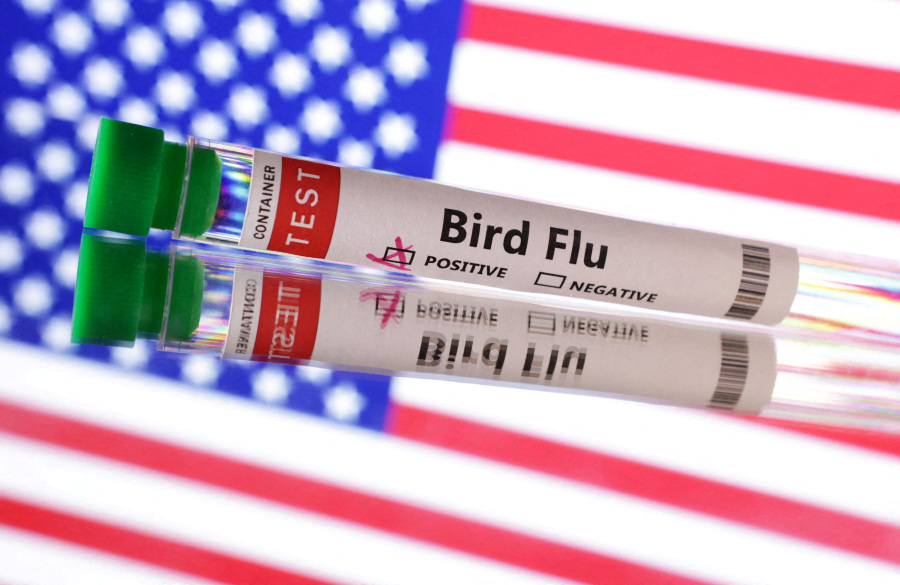 Four More US Health Workers Show Symptoms After Contact With Missouri Bird Flu Patient