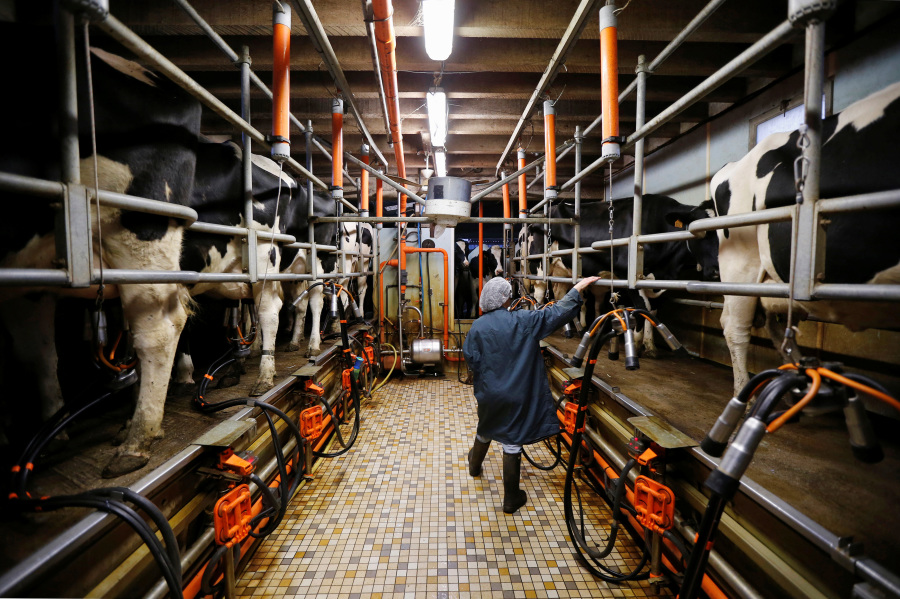 EU Launches WTO Challenge Against China s European Dairy Subsidies Probe