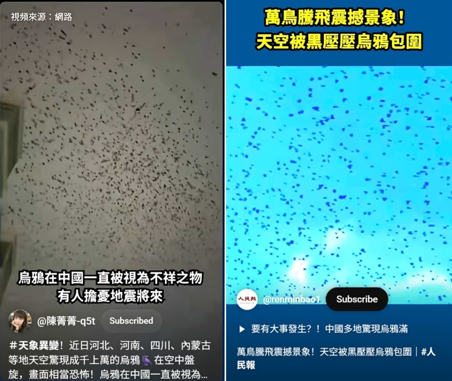 The Liquidation is Imminent! Medium: Crows Are Circling Above Xi s Residence