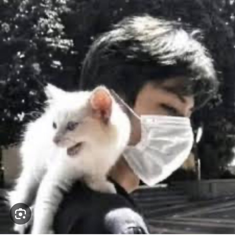 The Yu Menglong Case Has Shaken the Core, Leaving Netizens Reeling and Military Descendants in a Precarious Situation!