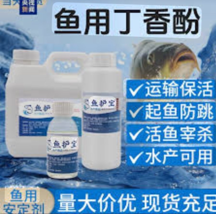 “Anesthetized Fish” Sparks Outrage: China Becomes a “Mutual-Destruction Society”