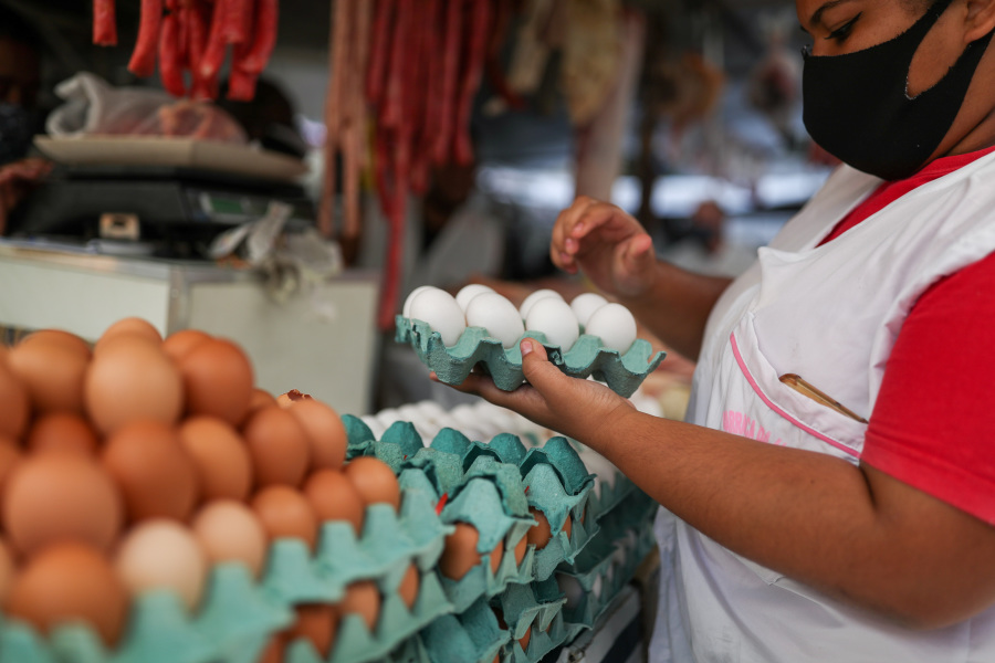 Brazil egg exports soar amid stronger U.S. demand