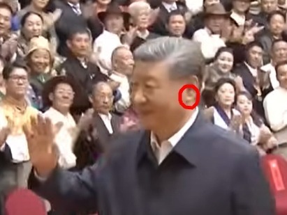 Is Xi Jinping About to Step Down, or Launch a Great Purge