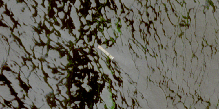 Iran says it seizes two container ships attempting to leave Gulf