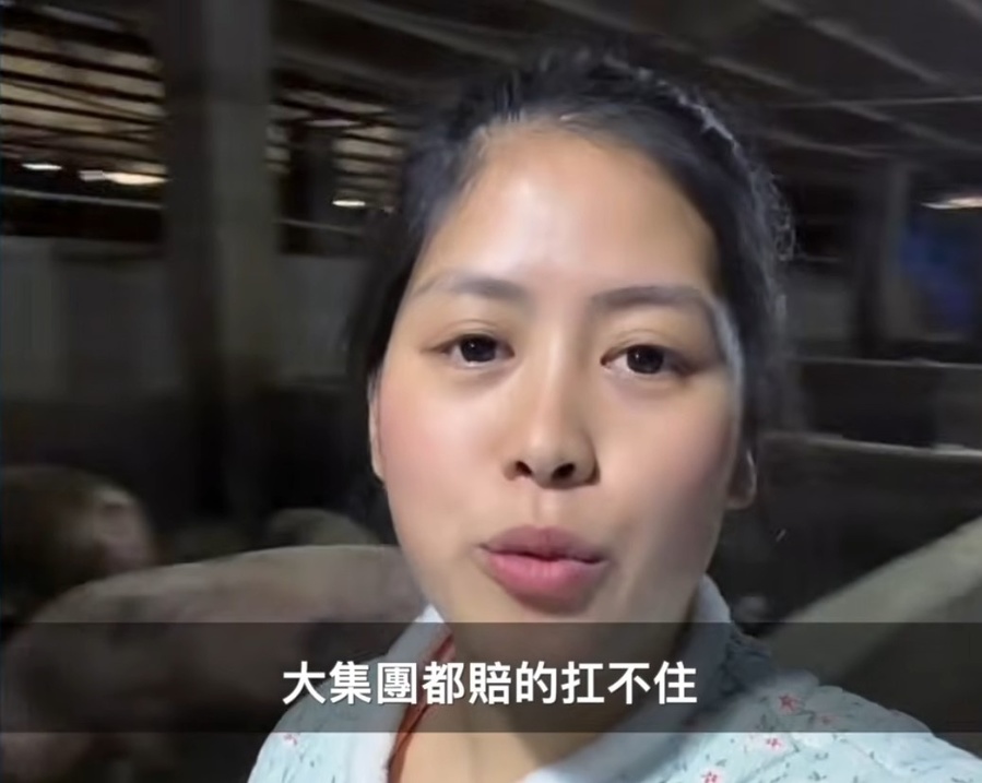 Selling a Pig at a Loss of 500 Yuan: The CCP s  support  for the Pig Farming Industry Faces a Harsh Winter