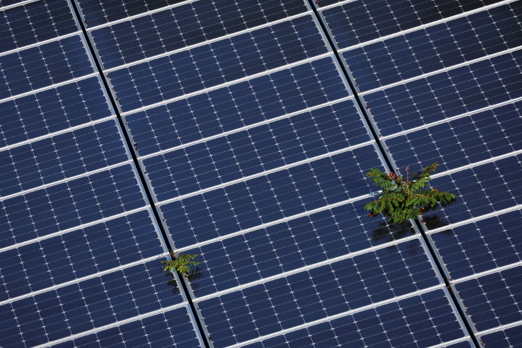 US lawmakers seek a crackdown on solar imports they say dodge duties