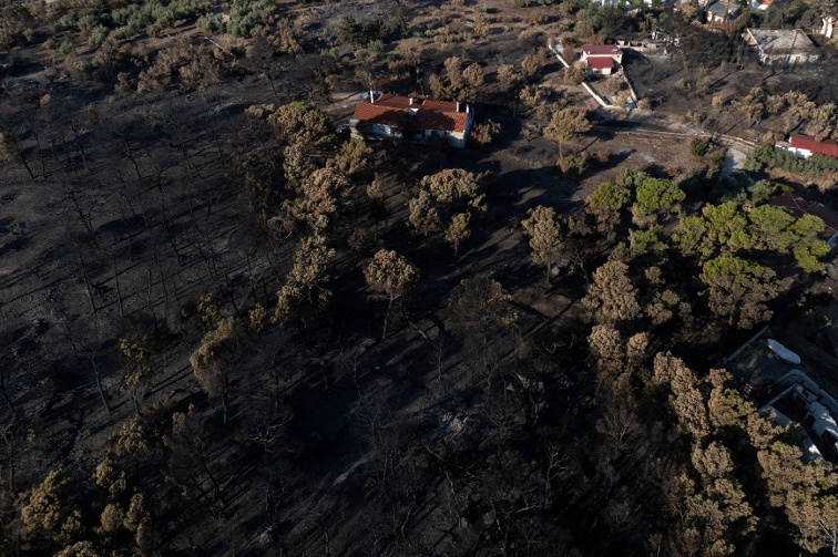 Tourists flee as Greek wildfire descends on resort village