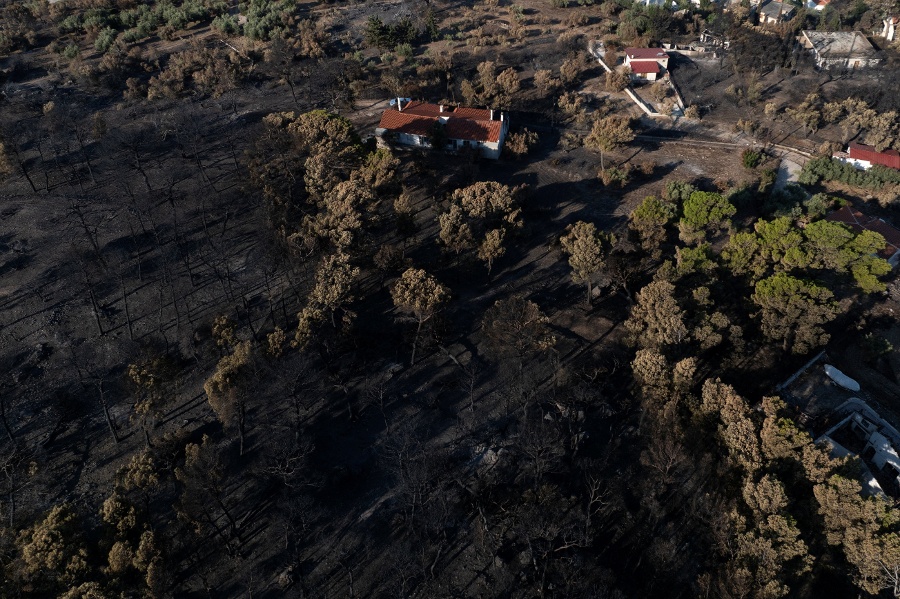 Tourists flee as Greek wildfire descends on resort village
