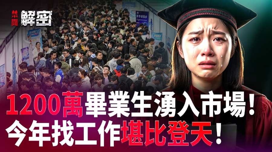 2026 High-Education Collective Bankruptcy! Where Can the Underprivileged Retreat