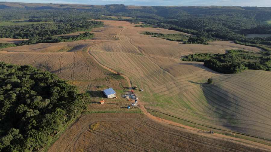 Despite Massive Production, Soy Remains Niche Food in Brazil