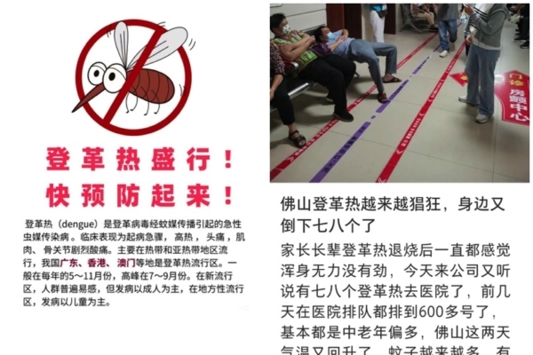 Massive Dengue Fever Outbreak in Guangdong, Public Accuses CCP of Covering Up the Truth