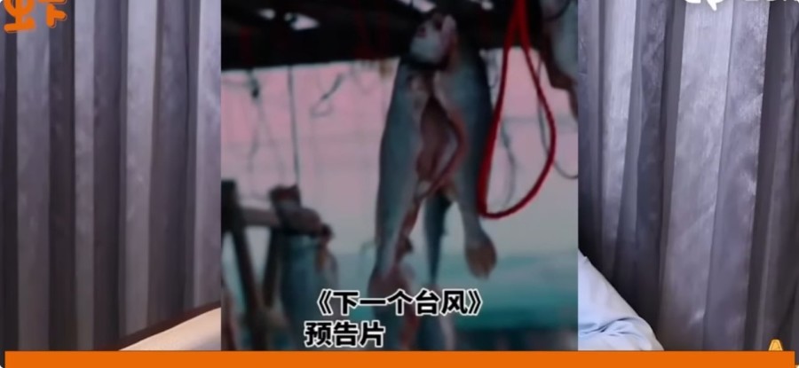 Terrifying! The Promotional Video Ominously Hints at a Vague Death Six Months in Advance