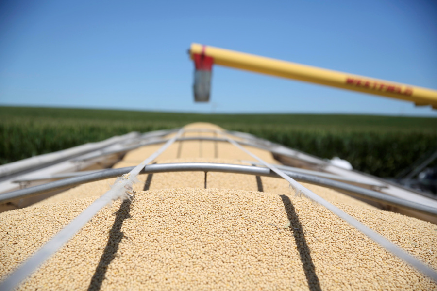 Exclusive-China buys at least 10 US soybean cargoes in new deals, sources say