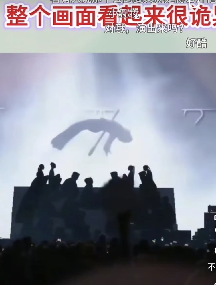 Wang Jiaer’s Exit Performance: A Sudden Plunge and a Murky Metaphor