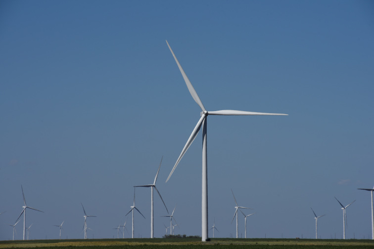 US judge rejects Trump administration s halt of wind energy permits