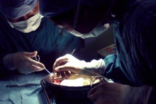 China s Medical System has Devolved Into a Cold-Blooded Machine for Organ Harvesting