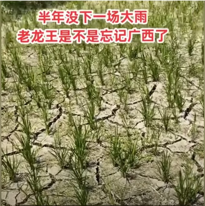 Guangxi Drought Videos Deleted; Footage of Locals Praying for Rain Labeled “Fake”