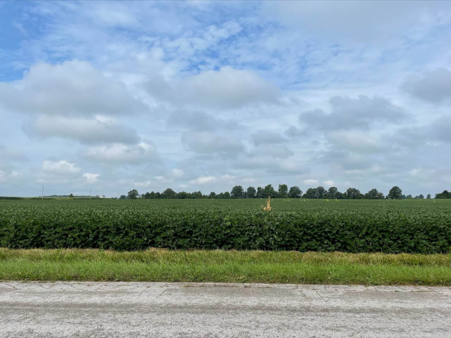 Trump hopes China will quickly quadruple its US soybean orders