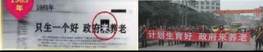 She Was Officially Announced to Have Passed Away, and Tens of Millions of Unborn Fetuses Were Harmed in Connection With Her Actions