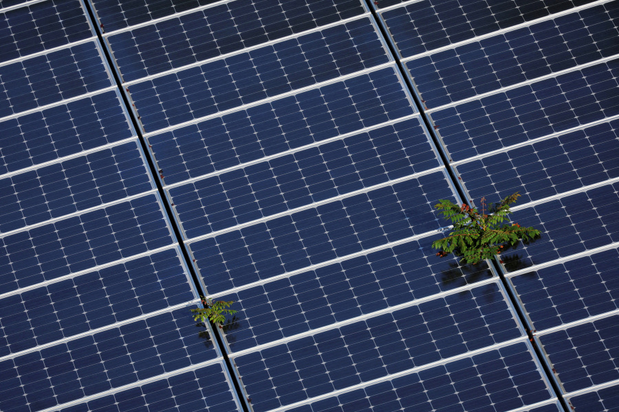 USDA ends programs for solar, wind projects on farms