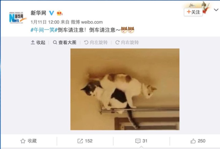 Peking University Professor: In Recent Years, There Has Been a Force Dragging Everyone Downward