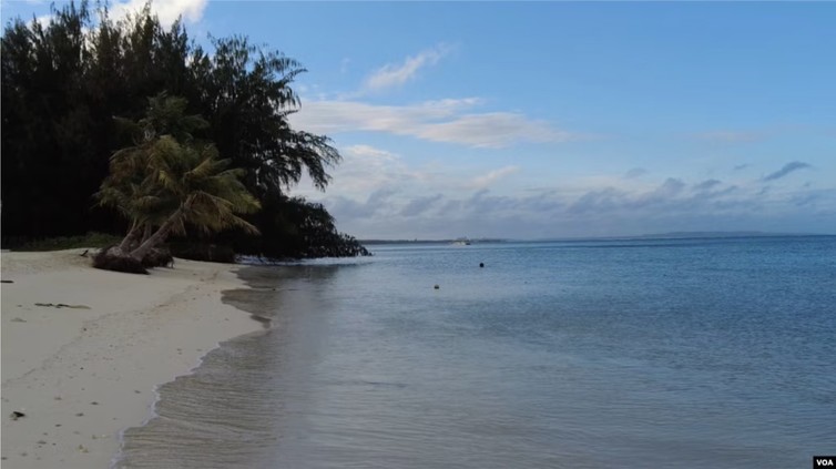 American Republicans Are Once Again Turning Their Attention to the Issue of  Birth Tourism  Among Chinese Citizens