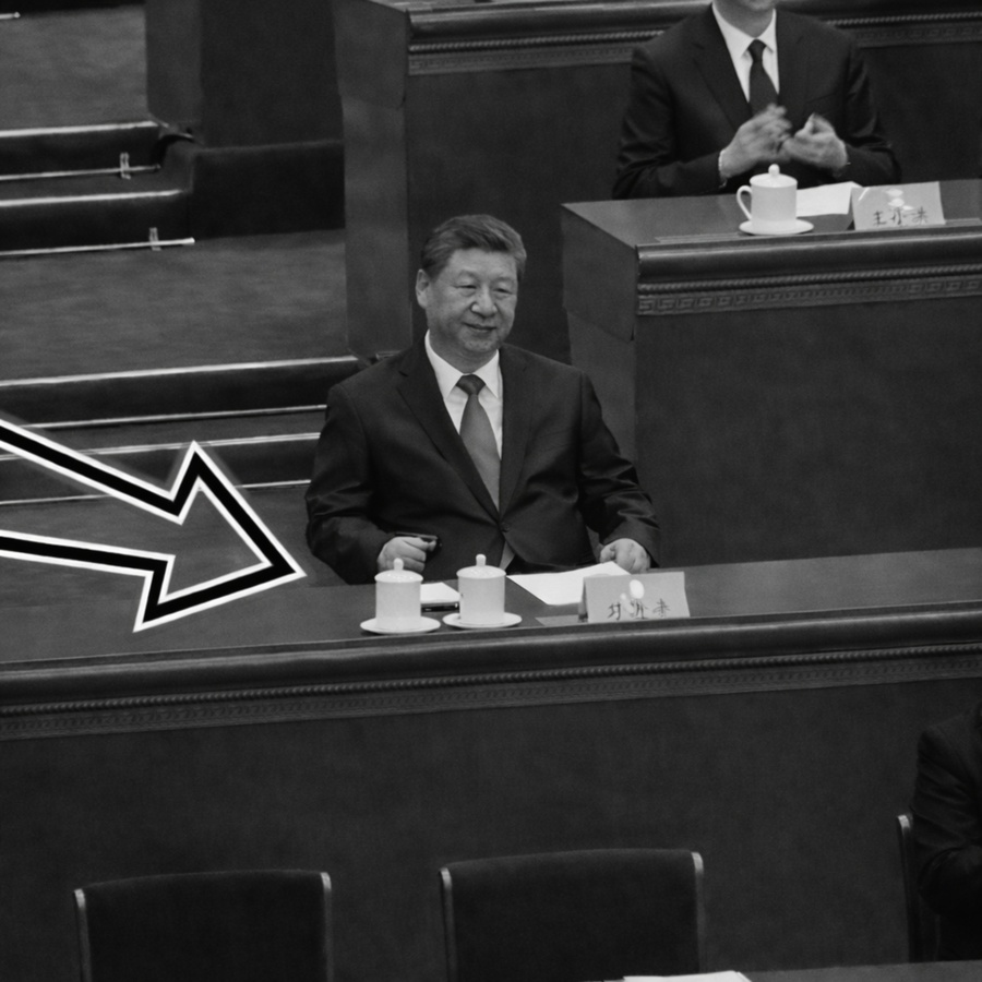 Scenes of the “Two Sessions”: Guarding Against the People Outside the Great Hall, Guarding Against Their Own People Inside