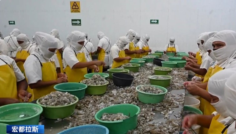 Painful Experiences of Pacific Island Nations: Paying a Heavy Price for Establishing Ties with a Rogue Regime