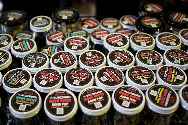 Trump announces reforms to accelerate access to psychedelic drug treatments