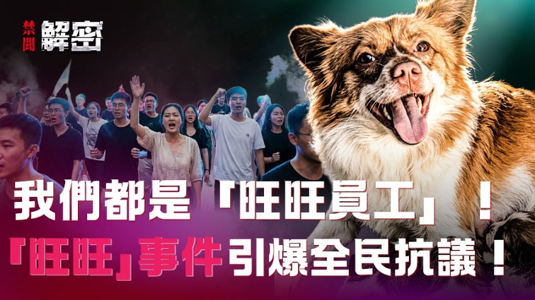 The Death of a Dog Caused by a 12-Year-Old in Jieyang Highlights the CCP s Distortion of Human Nature